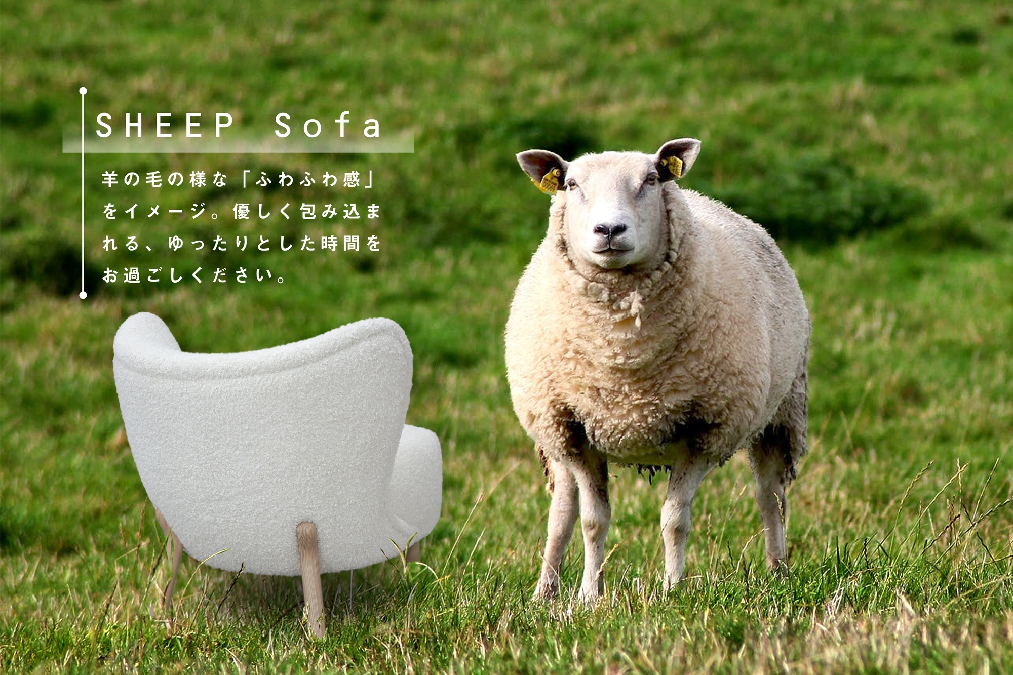 sheep_sofa.jpg